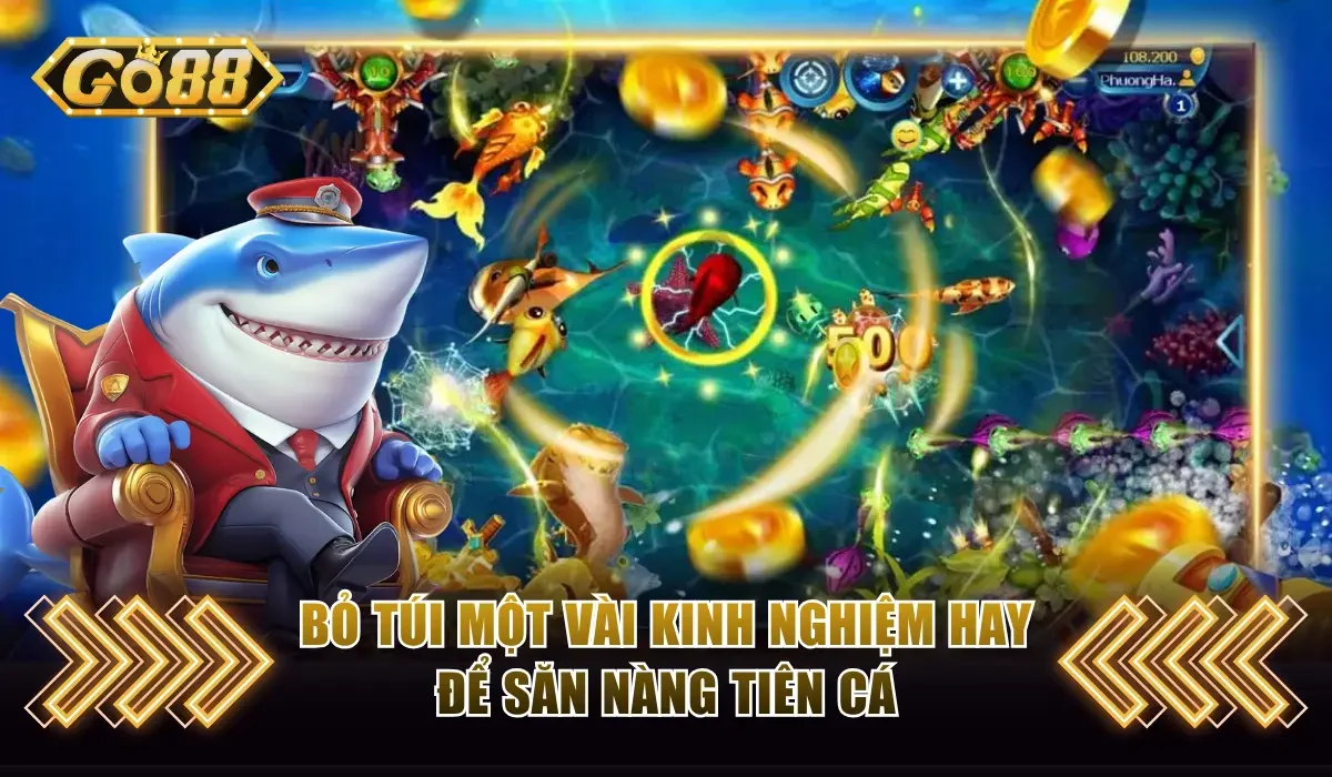 bo tui mot vai kinh nghiem hay de san nang tien ca