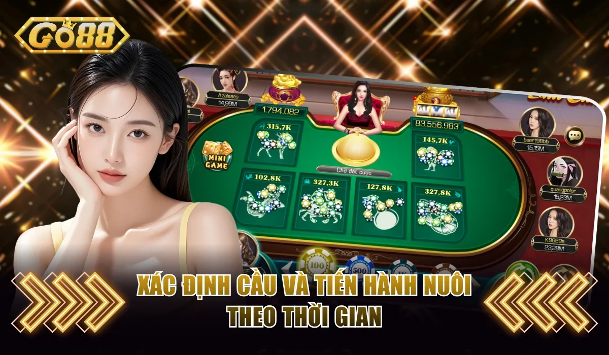 Xác định cầu và tiến hành nuôi theo thời gian